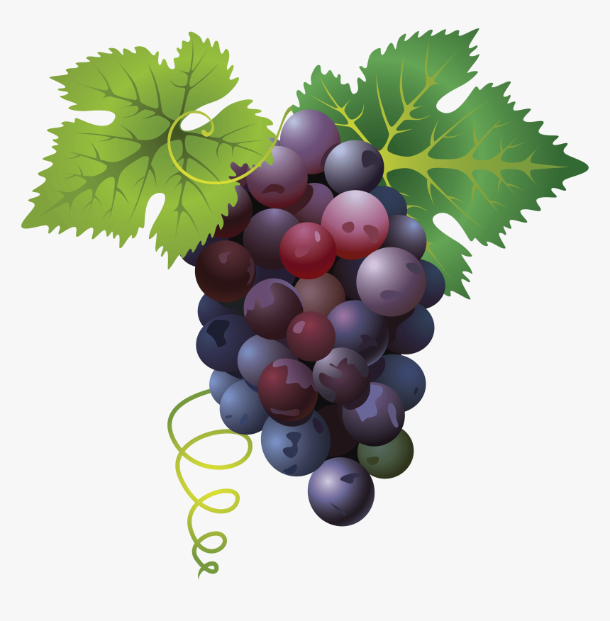 Grape Png Free Images - Transparent Grapes Png, Png Download