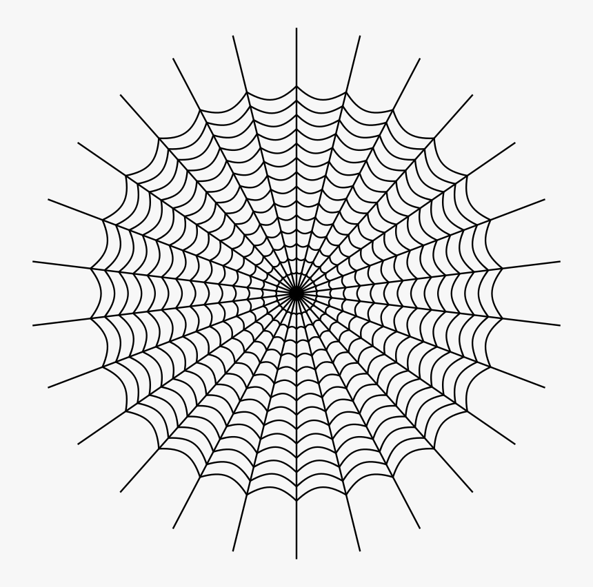Drawing Web Spider Silk - Charlottes Web Spider Web, HD Png Download