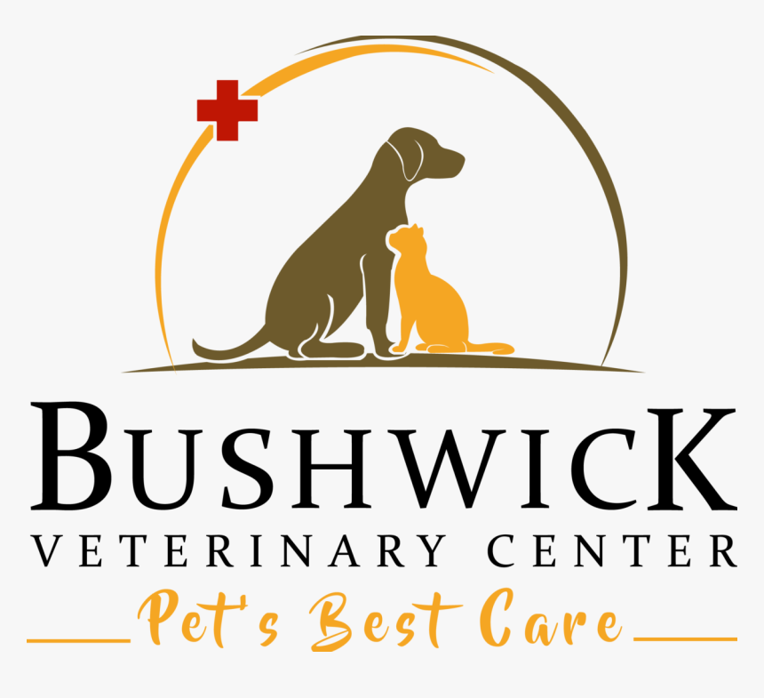 Dog Catches Something, HD Png Download