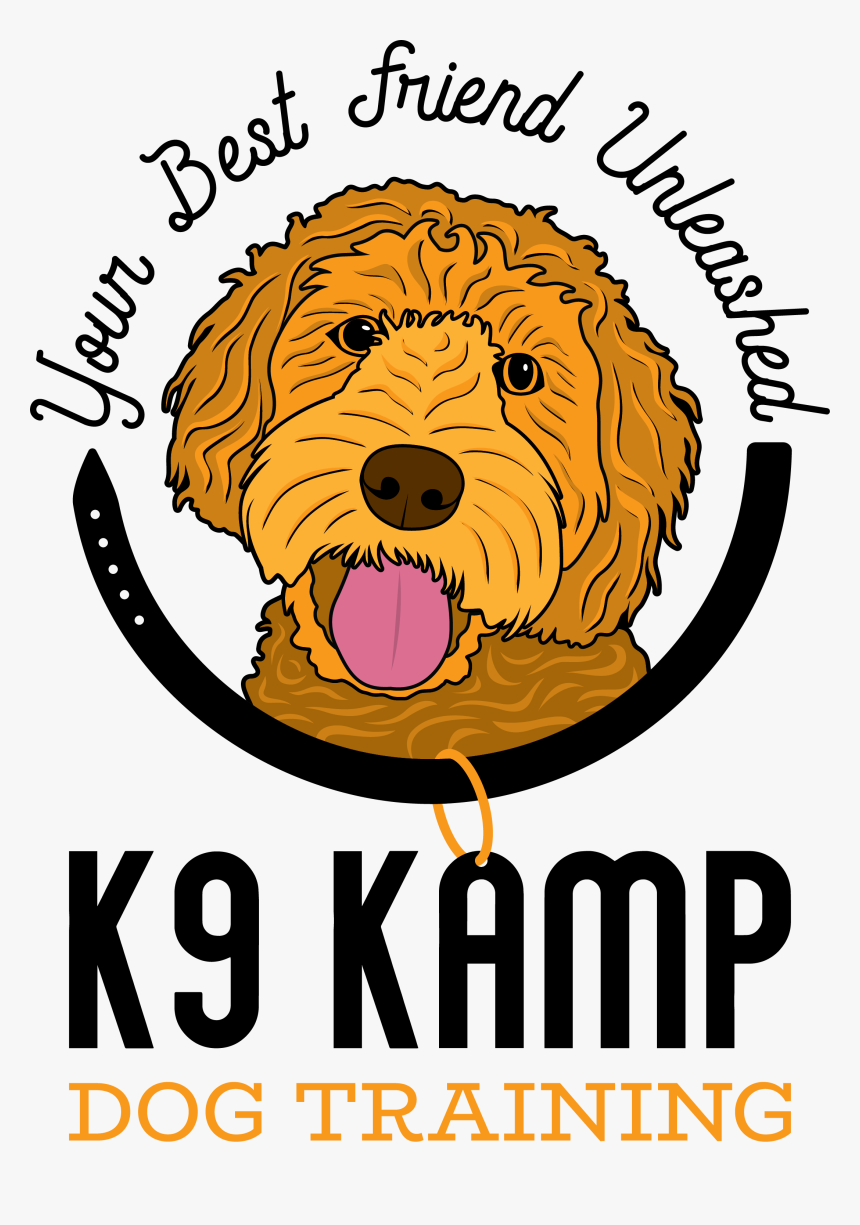 K9 Kamp Dog Training - Labradoodle, HD Png Download