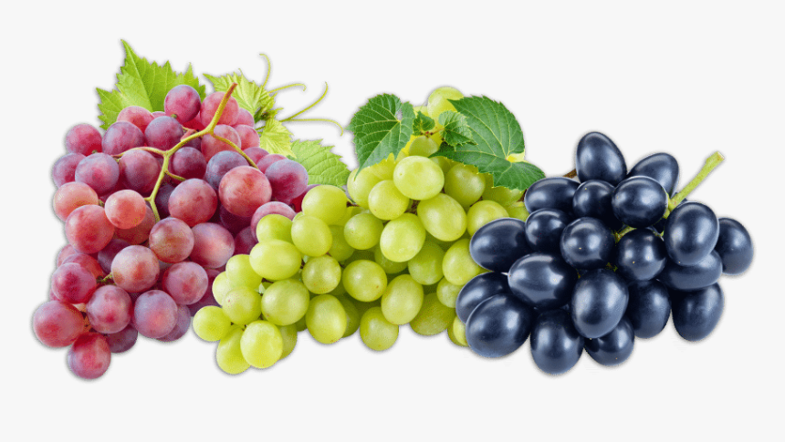 Grapes Fruit, HD Png Download