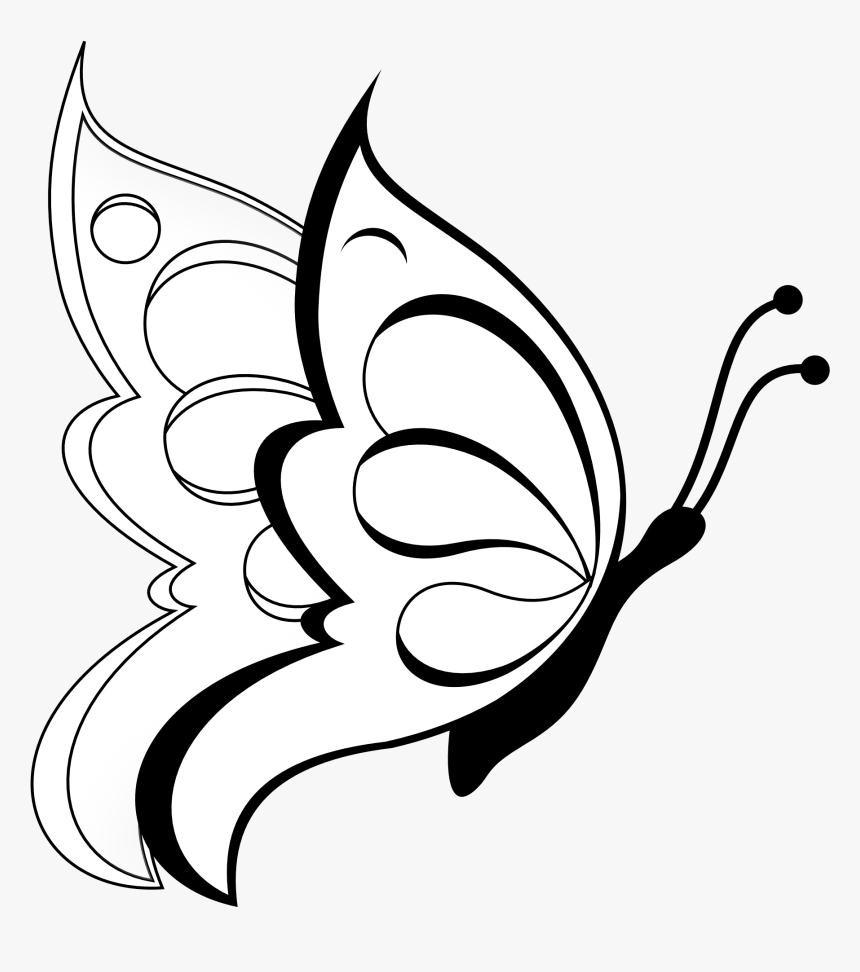 Vector beautiful butterfly in cartoon character drawing isolated on white  background 27199145 Vector Art at Vecteezy