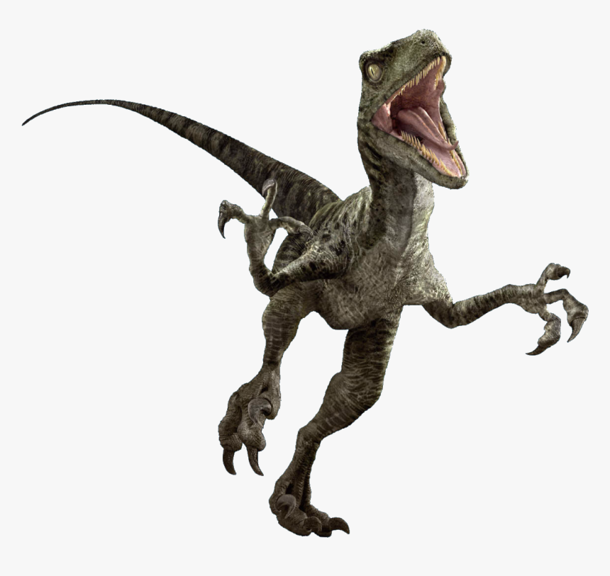 Jurassic World Evolution Png Download Image - Jurassic World Raptor Png, Transparent Png