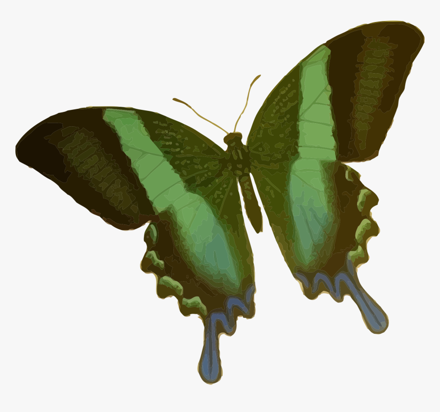 Papilio Blumei Clip Arts - Butterfly Cartoon Green, HD Png Download