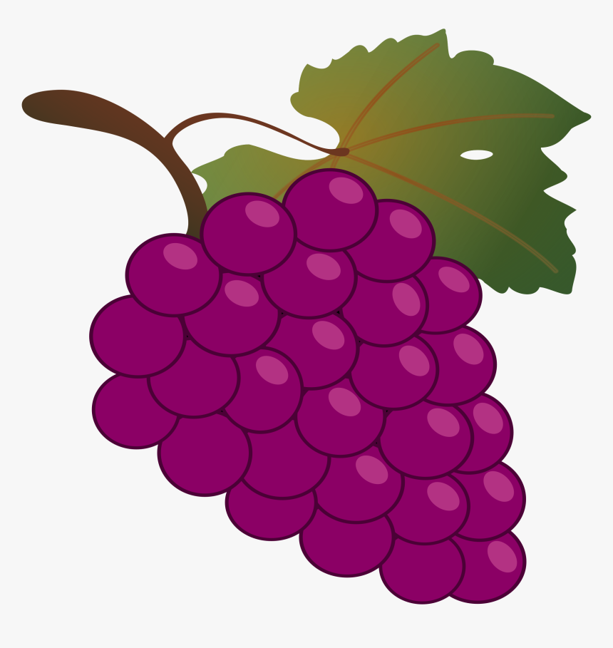 Grape,seedless Fruit,grapevine Family,grape Plant,flower,berry,clip - Grapes Clipart, HD Png Download