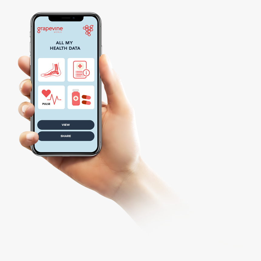 Phone - Iphone X Png Hand, Transparent Png