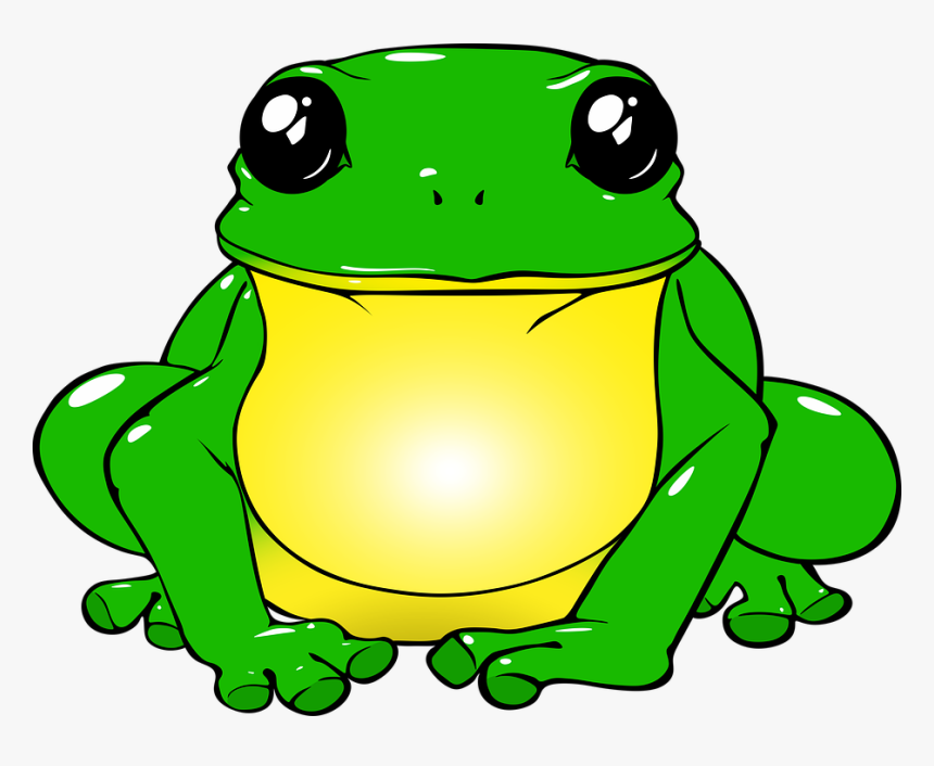 Frog, Toad, Green, Drawing, Png, Animals, Nature, Water - Frog With A Unicorn, Transparent Png