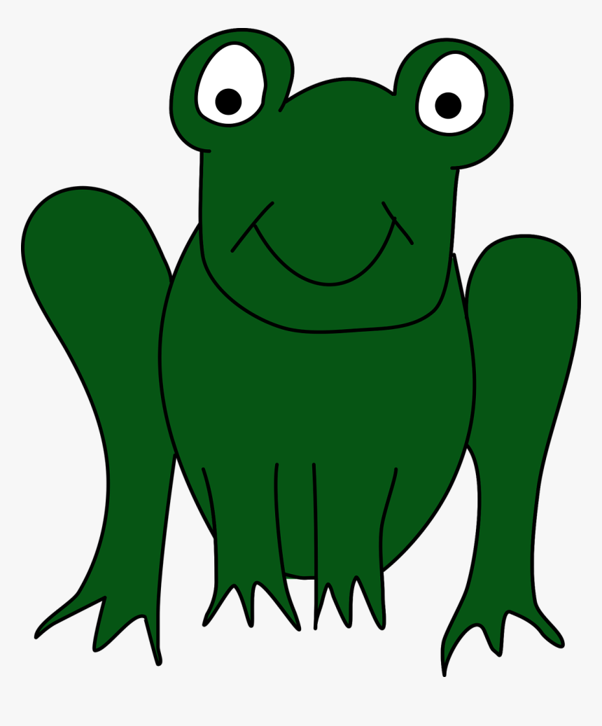Frog Toad Animal - Frog, HD Png Download
