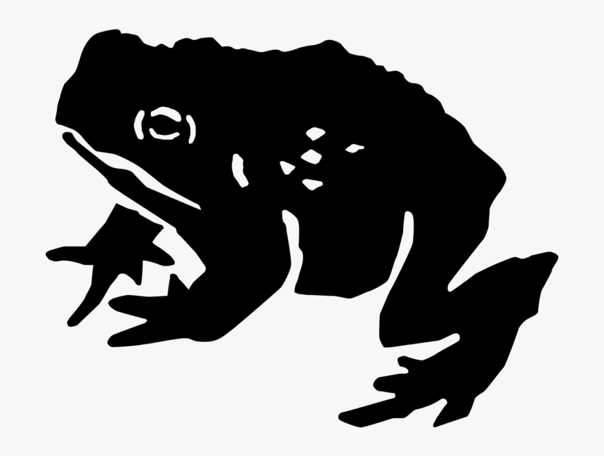 Transparent Toad Animal Png - Bufo, Png Download