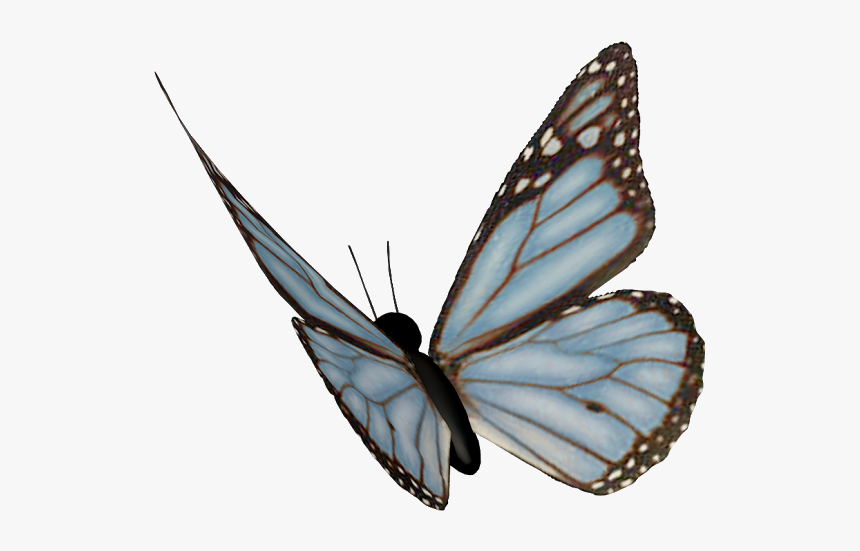 Clip Art Borboleta Asas Azuis Fundo - Monarch Butterfly, HD Png Download