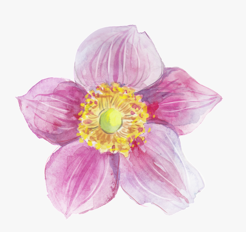 Transparent Decorative Heart Png - Watercolor Painting, Png Download