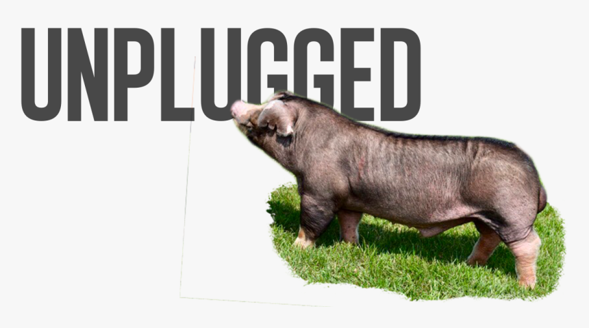 Unpolished Magazine, HD Png Download