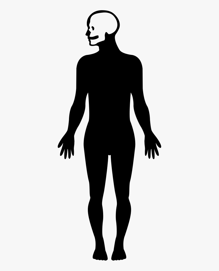 Human Body Silhouette With Focus On The Head - Human Body Shape Png, Transparent Png