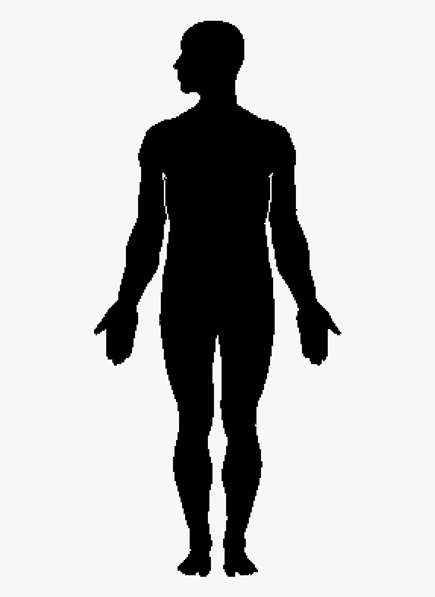 Human Body Silhouette Clip Art - Multiple Myeloma Autologous Stem Cell Transplant, HD Png Download