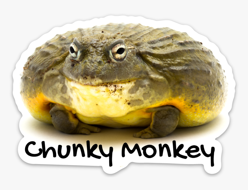 Reptarium Ambassador Animal Stickers - Boreal Toad, HD Png Download