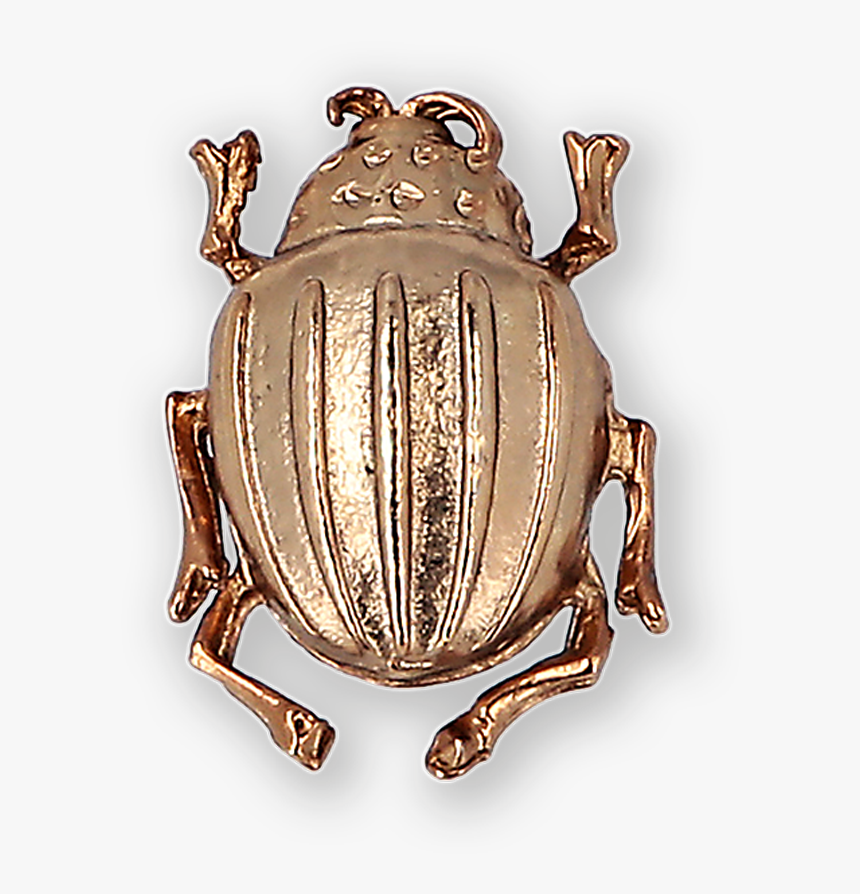 Beetle Gold-plated Brooch Ss19 Collection, Pal Zileri - Dung Beetle, HD Png Download