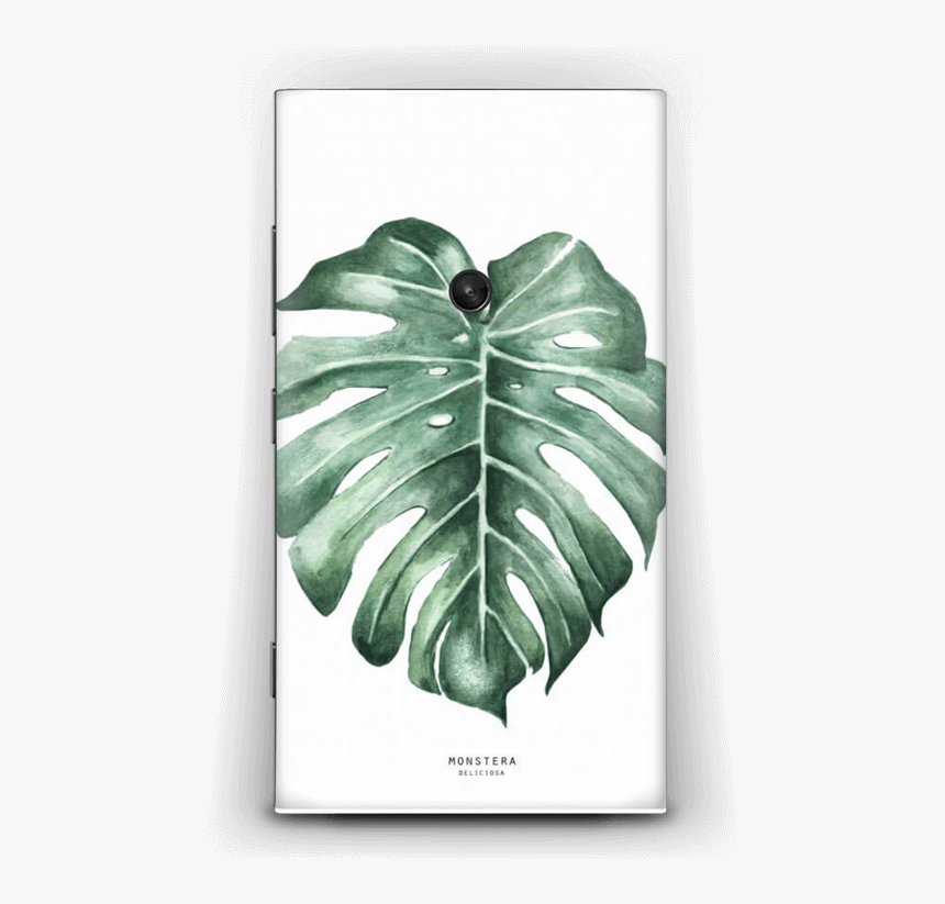 Swiss Cheese Plant - Kunstdruck Pflanzen, HD Png Download