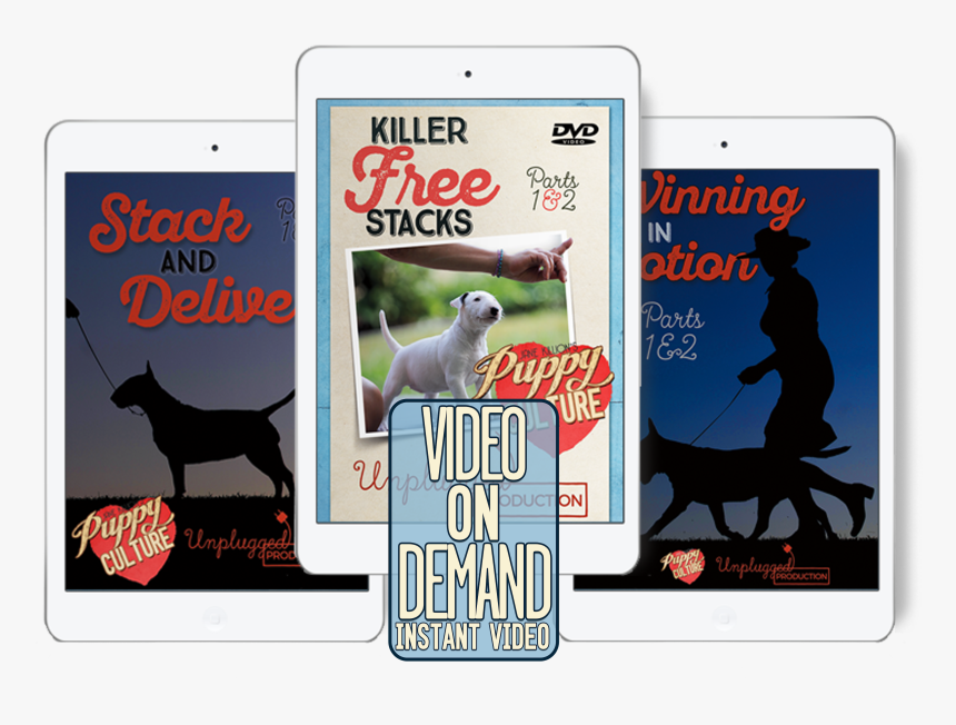 Mobile Phone, HD Png Download