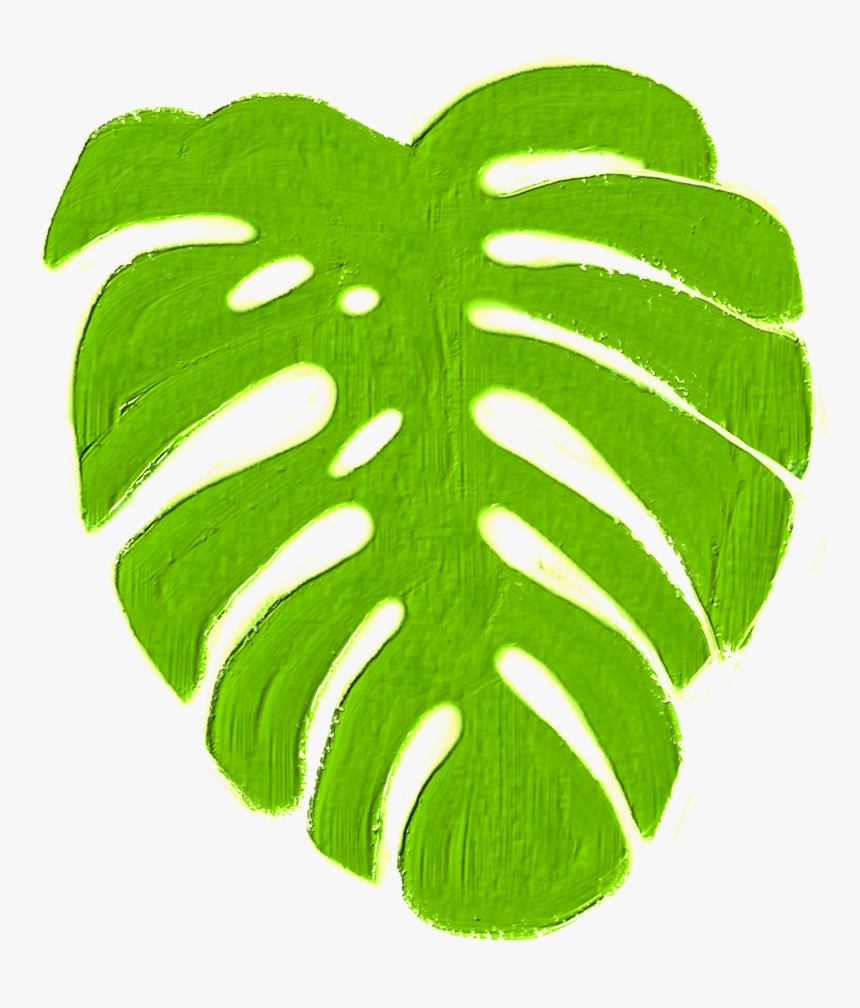 #monstera #tropics #plant #green #jungle #island #warm - Symmetry, HD Png Download