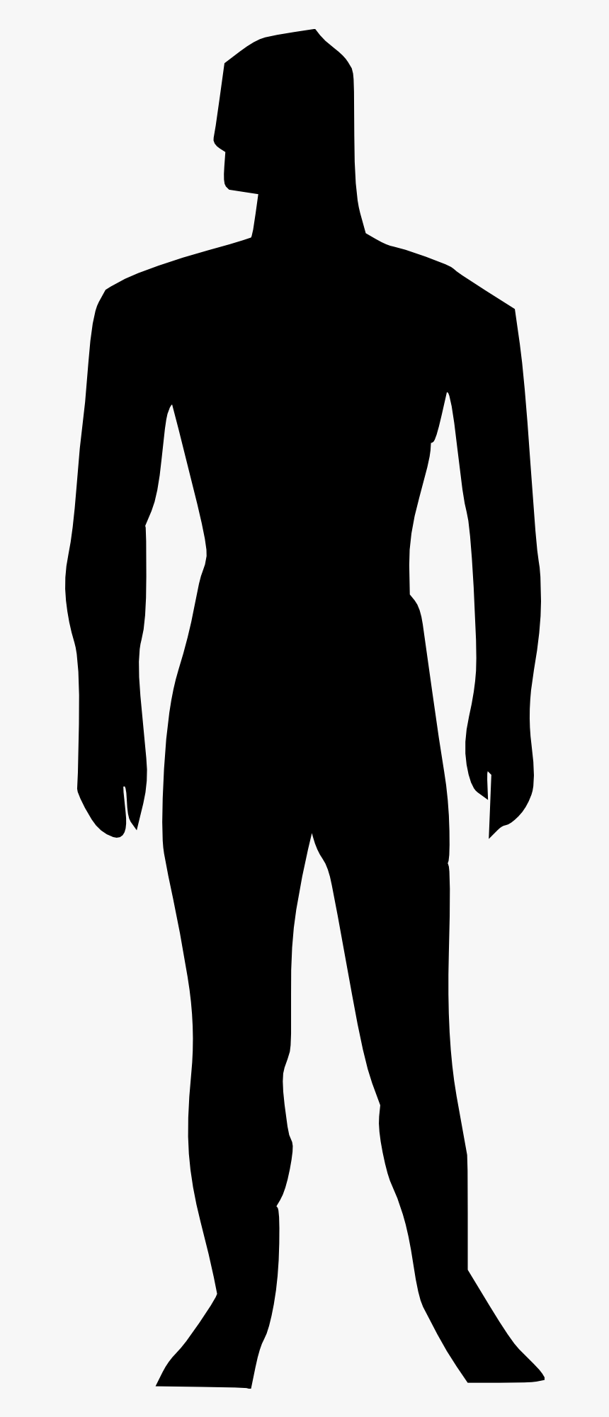 Transparent Muscles Body Silhouette - Full Body Silhouette Png, Png Download