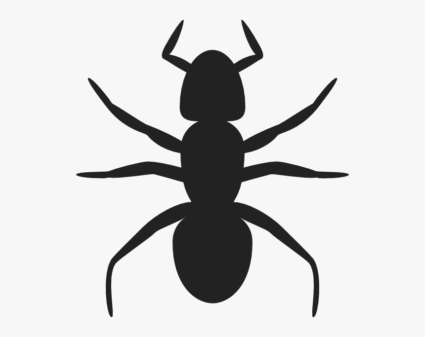 Ant Clip Art, HD Png Download