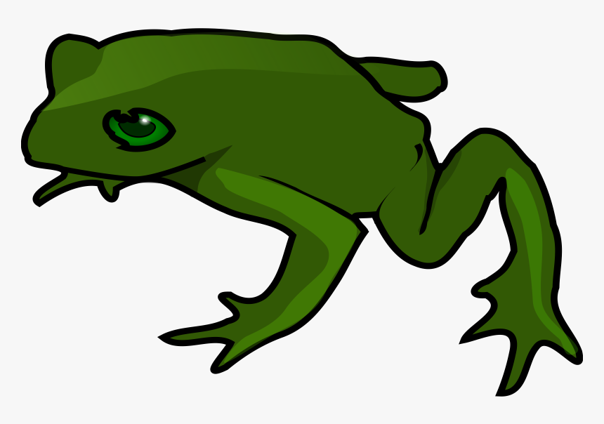 Frog Clip Art, HD Png Download
