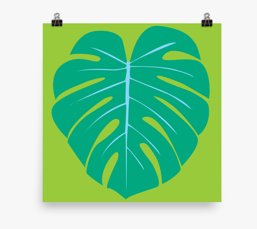 Monstera Leaf 2 By Graeme Luey - Illustration, HD Png Download