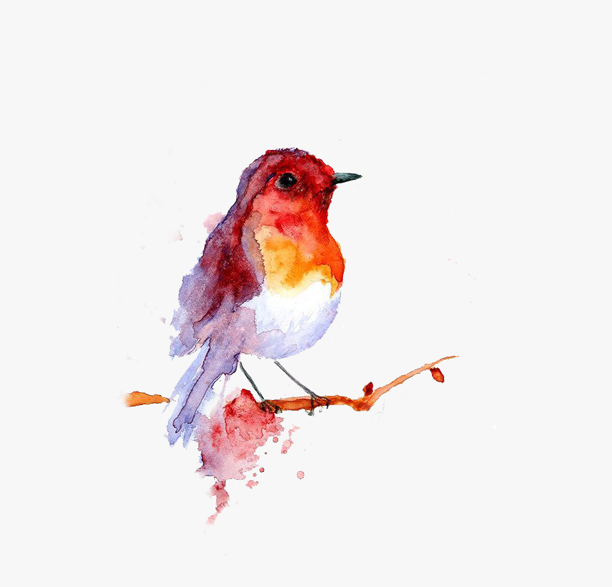 Bird T Shirts Womens, HD Png Download
