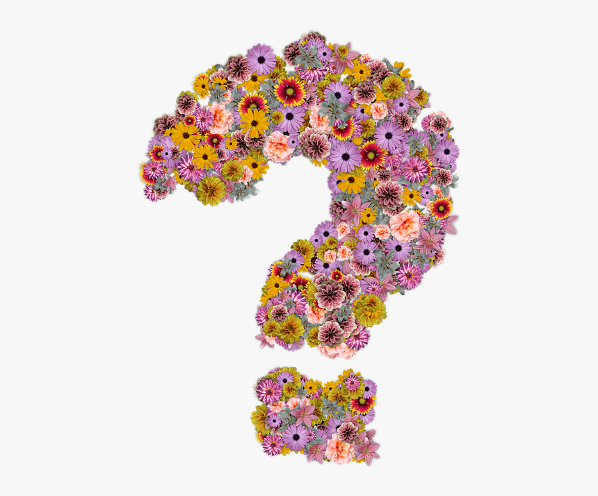 Flower Question Mark, HD Png Download