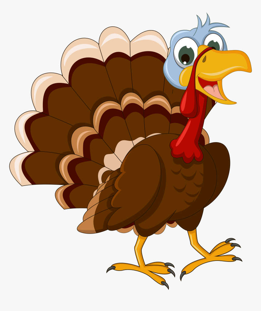 Turkey Bird Png Images Transparent Free Download Turkey Cartoon No