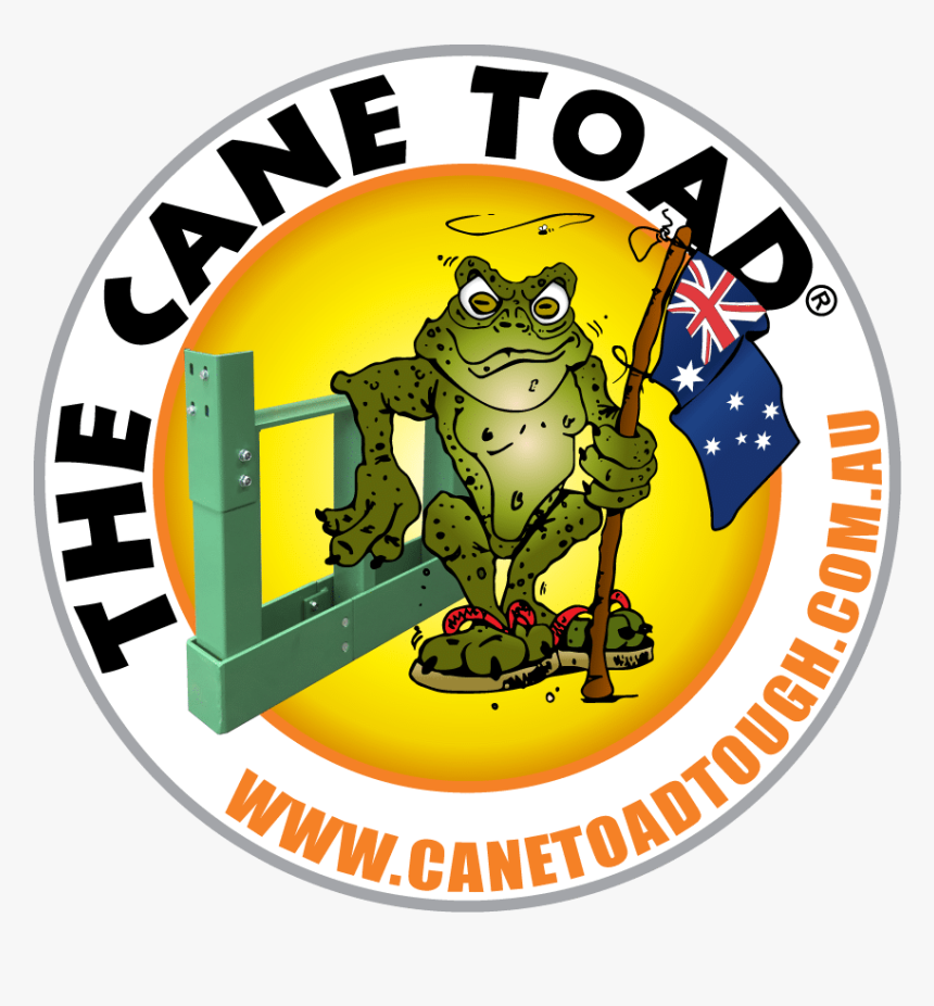 Amphibian Clipart Cane Toad - Cartoon, HD Png Download