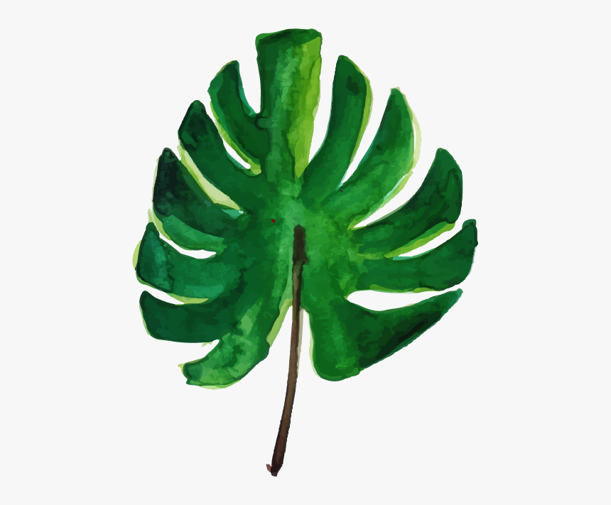 Palm Tree, HD Png Download