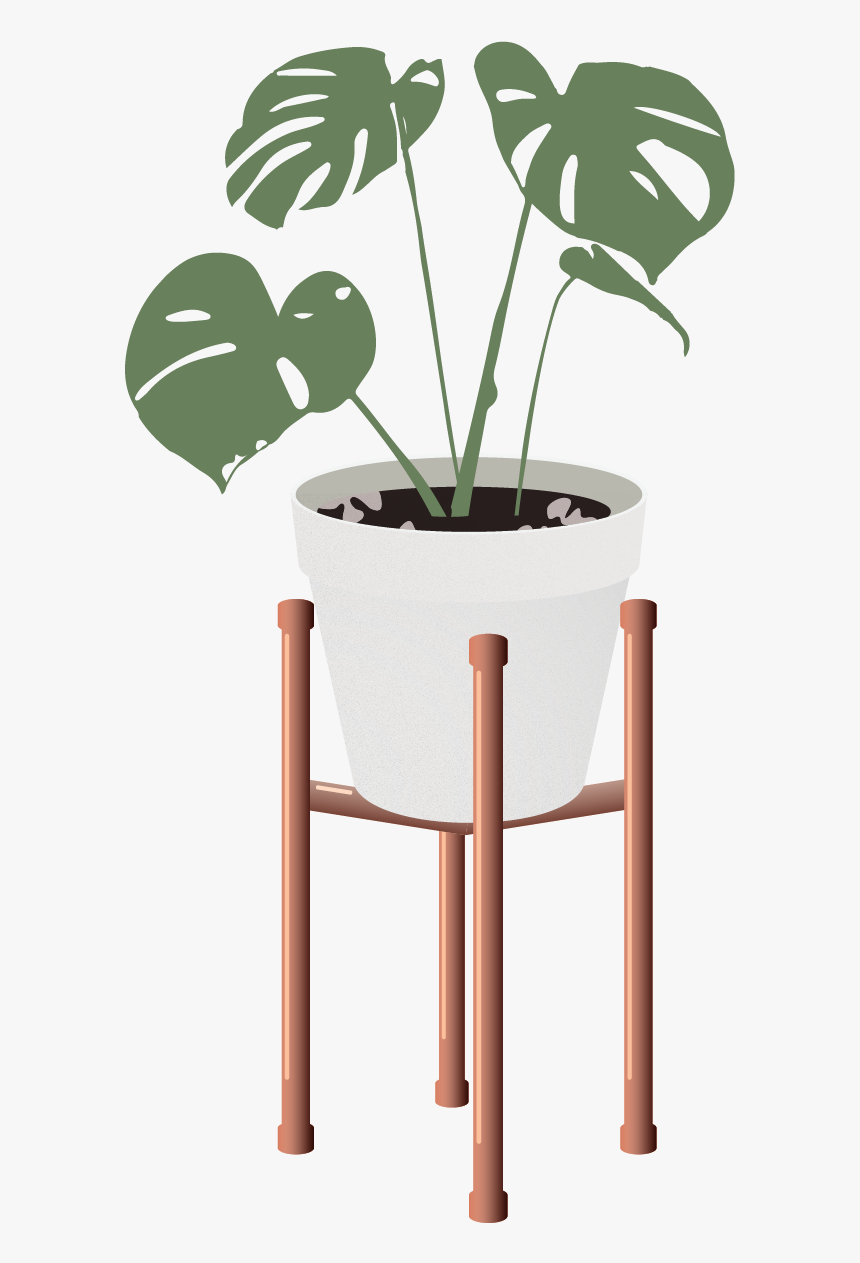 Indoor Plant Vector Illustration, HD Png Download