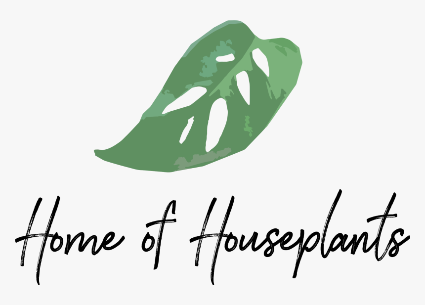 Monstera Adansonii , Png Download - House Plants Logo, Transparent Png