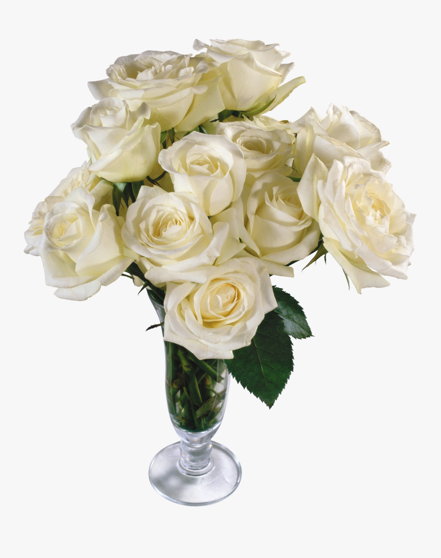 Flower Petal Cut Flowers Rose Bouquet Png - White Rose Bouquet Images Png, Transparent Png