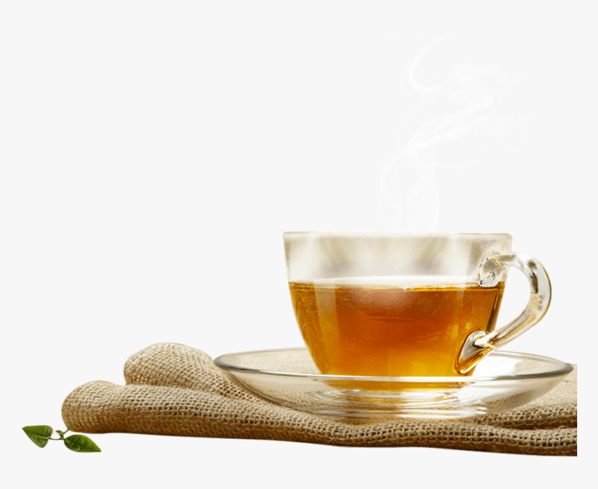 Tea Tasting In Dharamshala, HD Png Download