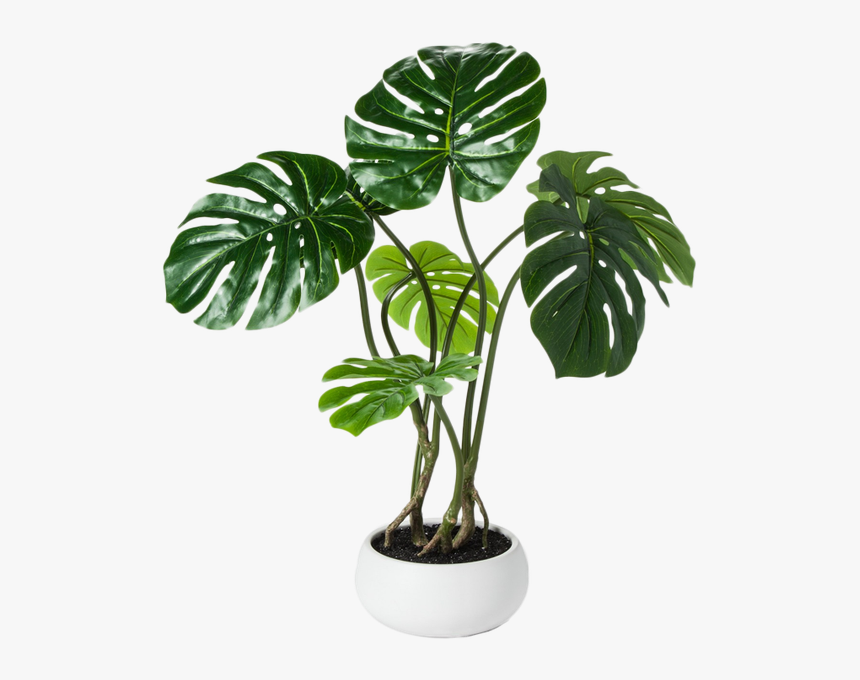Fake Palm Leaf Plant, HD Png Download