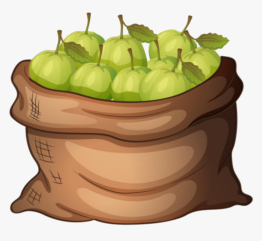 Apples Clipart Garden - Basket Of Guava Clipart, HD Png Download