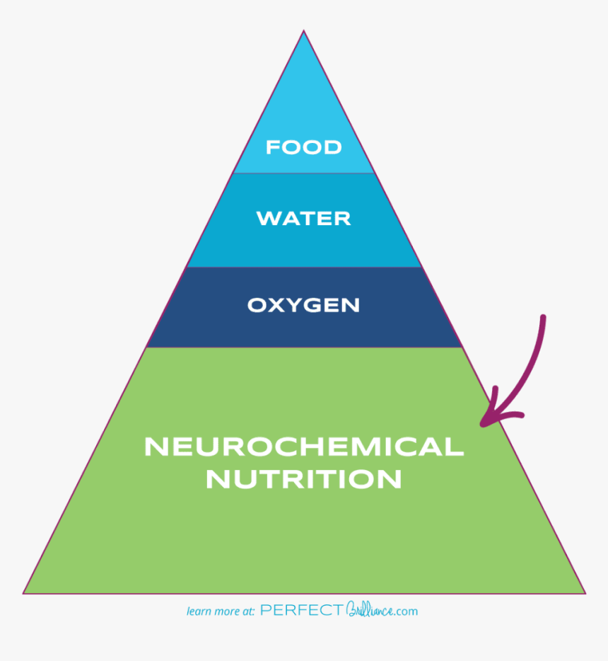 Learn More About Neurochemical Nutrition At Perfectbrilliance - Triangle, HD Png Download