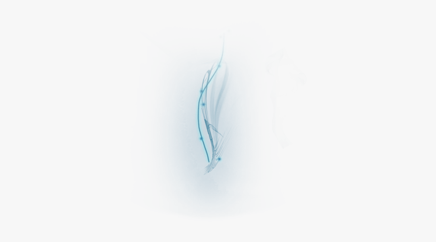Pricespider - Sketch, HD Png Download