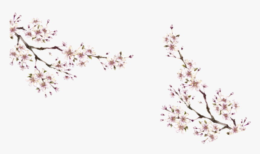 This Graphics Is Winter Plum Png About Winter, Plum, - Portable Network Graphics, Transparent Png