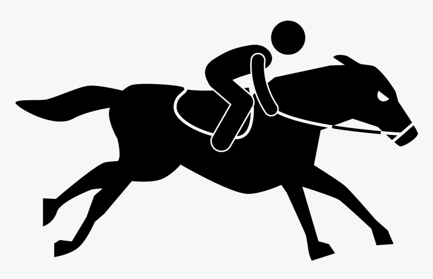 And, Are Successful Horse Trainers The Best Kind Of - Equestrianism, HD Png Download