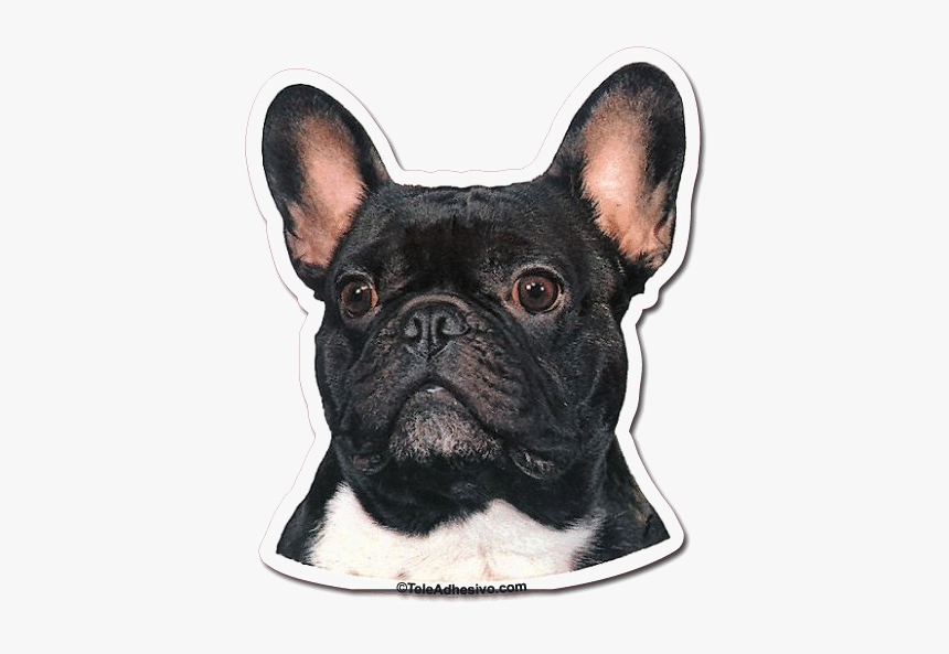 Bulldog Transparent Images - Bulldog Frances Ilustracion Png, Png Download