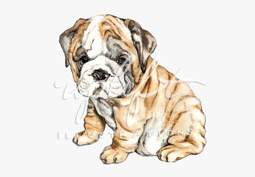 Bulldog, HD Png Download