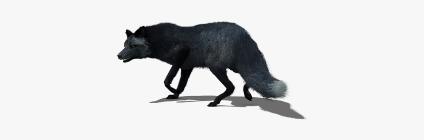 Black Fox - Black Fox 3d, HD Png Download