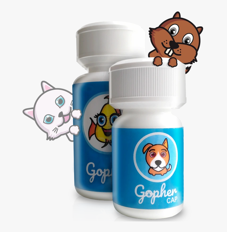 Image1 - Water Bottle, HD Png Download