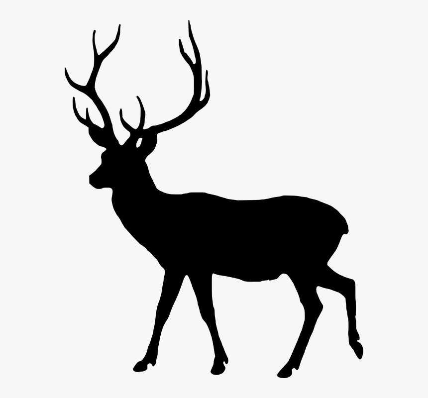 Animal Silhouette, HD Png Download