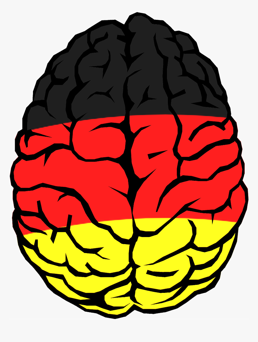 Transparent Clipart Of Brain - Transparent Background Brain Clipart, HD Png Download