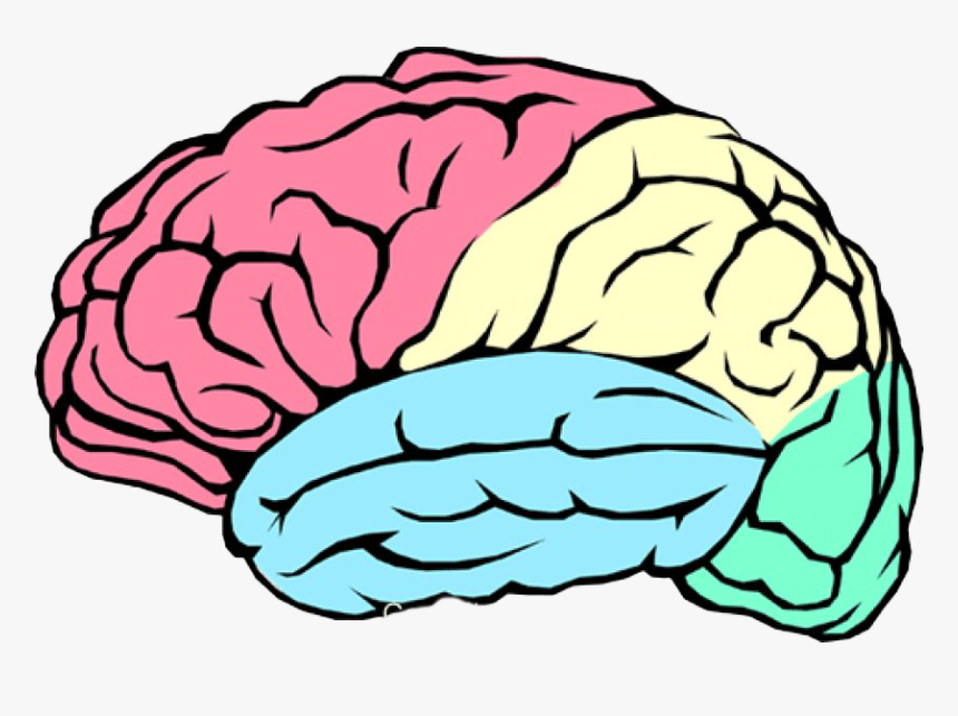 Art Brain Png Image Transparent Background - Transparent Background Brain Transparent, Png Download
