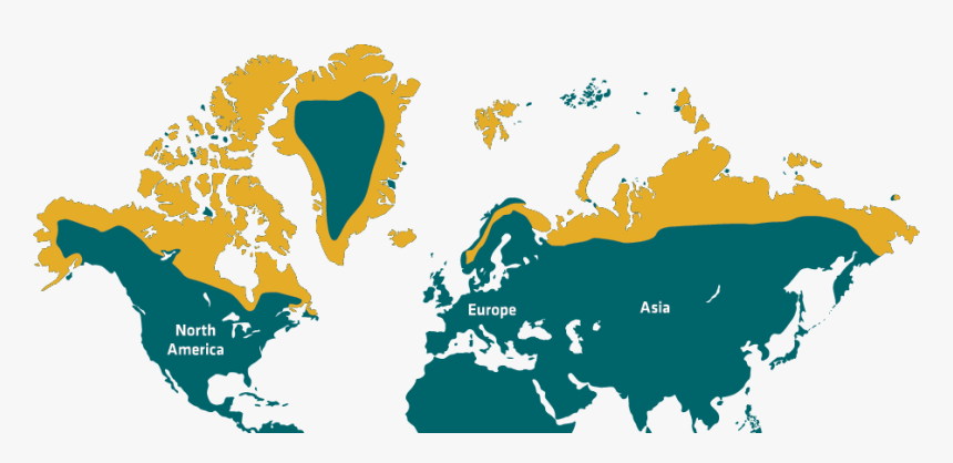 Scratch Map Black And White , Png Download - High Resolution World Map Vector Png, Transparent Png